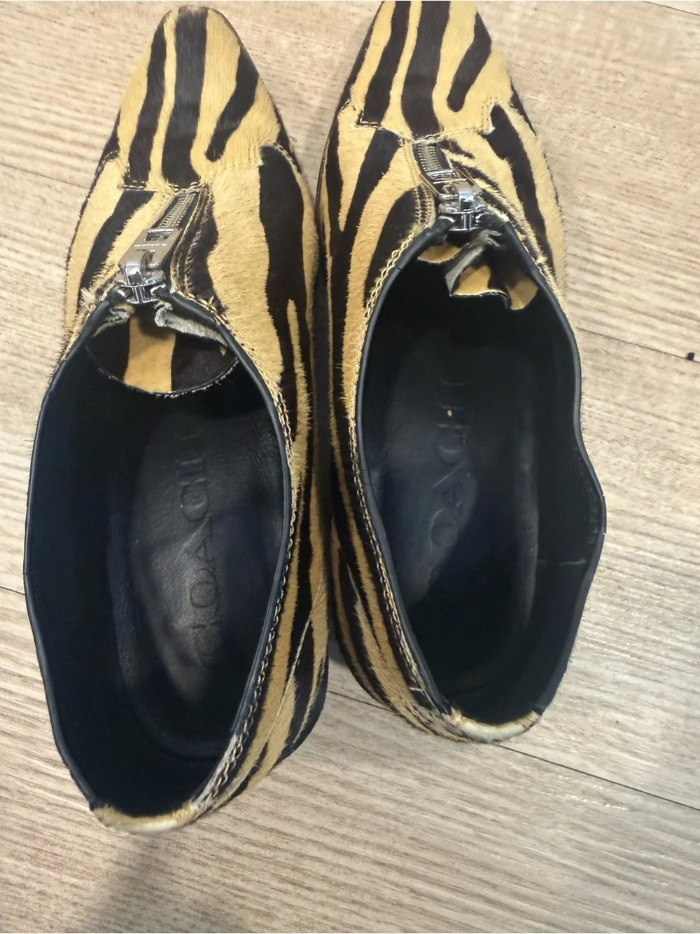 Coach zip up ankle booties 5.5